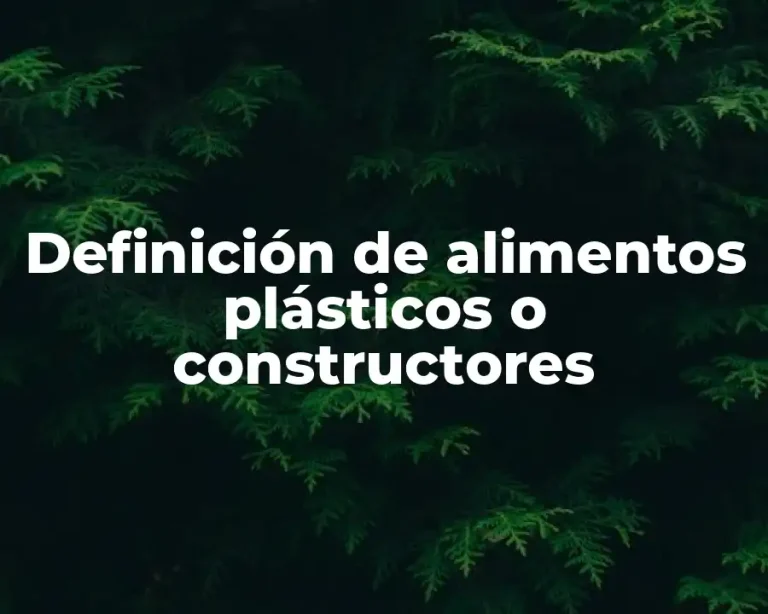 Definición de alimentos plásticos o constructores