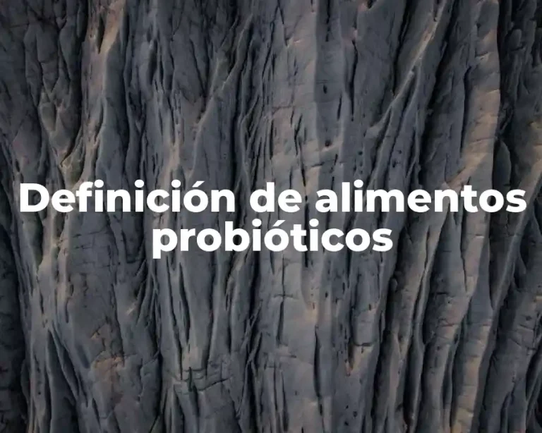 Definición de alimentos probióticos