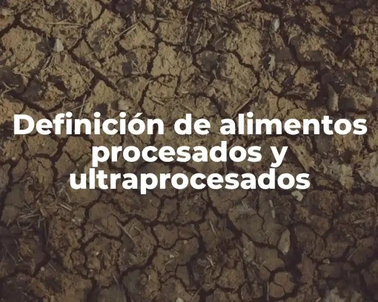 Definición de alimentos procesados y ultraprocesados