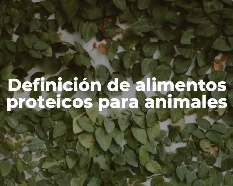 Definición de alimentos proteicos para animales