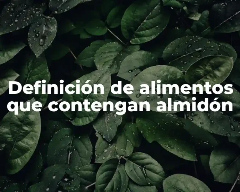 Definición de alimentos que contengan almidón