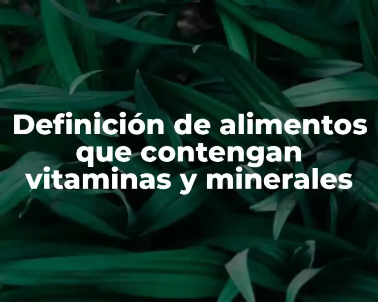 Definición de alimentos que contengan vitaminas y minerales
