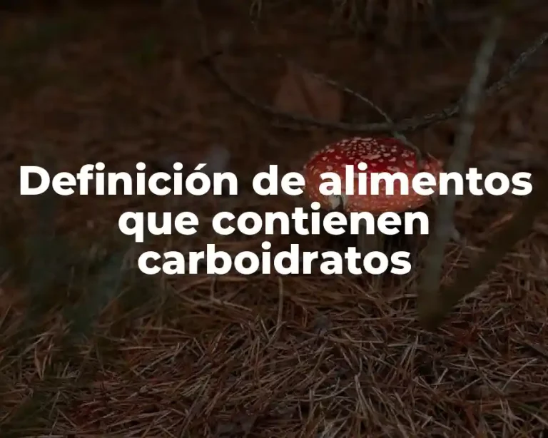 Definición de alimentos que contienen carboidratos