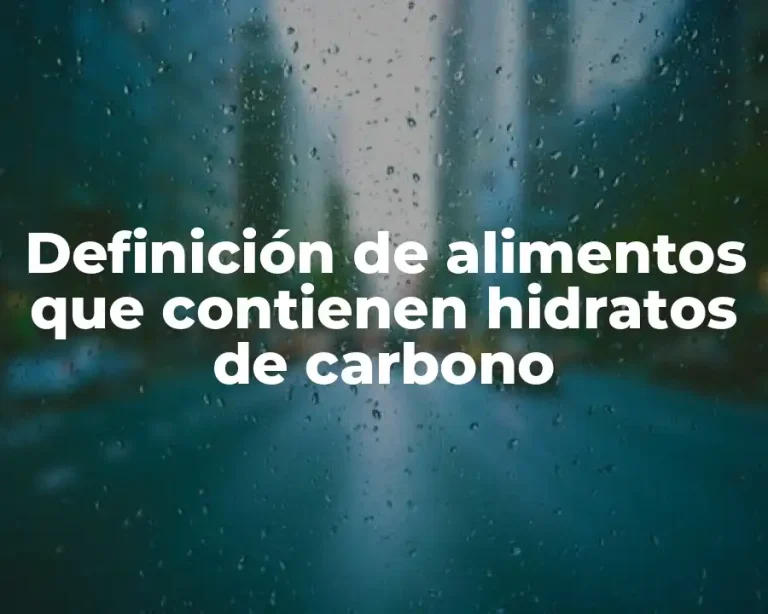 Definición de alimentos que contienen hidratos de carbono