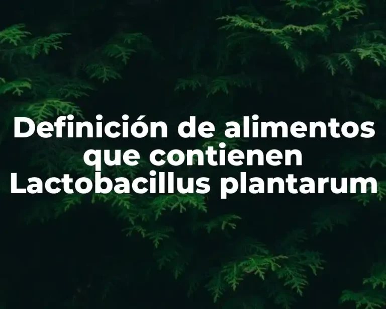 Definición de alimentos que contienen Lactobacillus plantarum