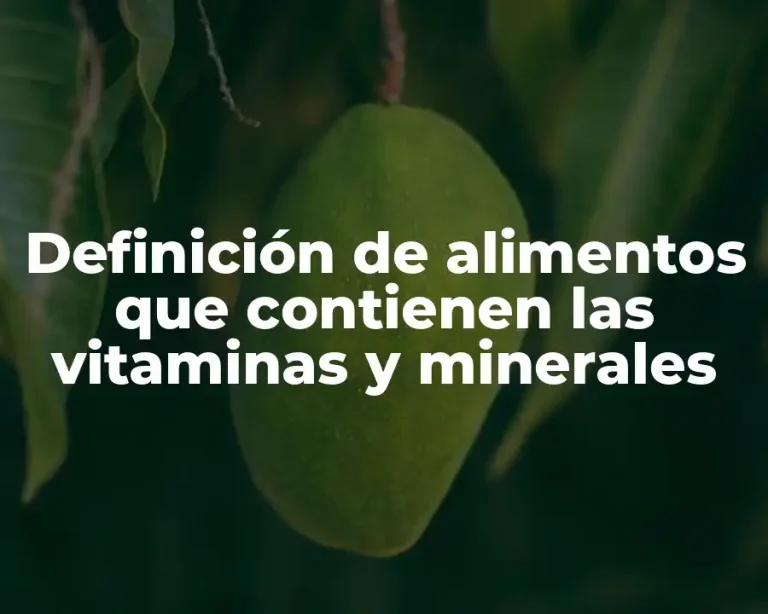 Definición de alimentos que contienen las vitaminas y minerales