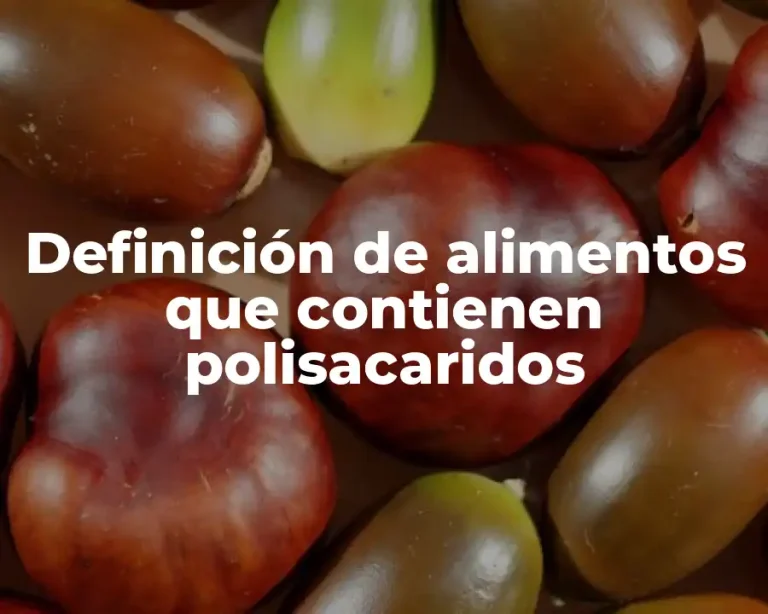 Definición de alimentos que contienen polisacaridos