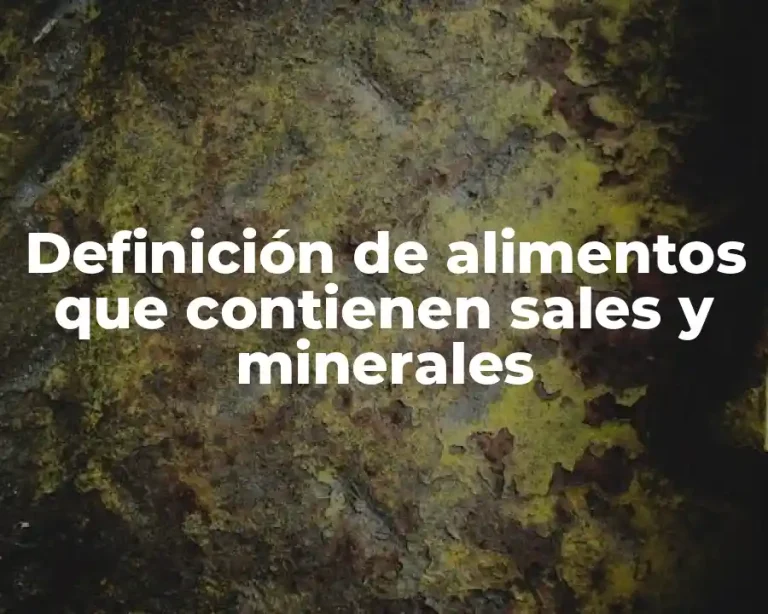 Definición de alimentos que contienen sales y minerales