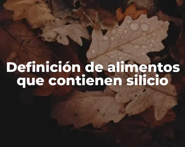 Definición de alimentos que contienen silicio