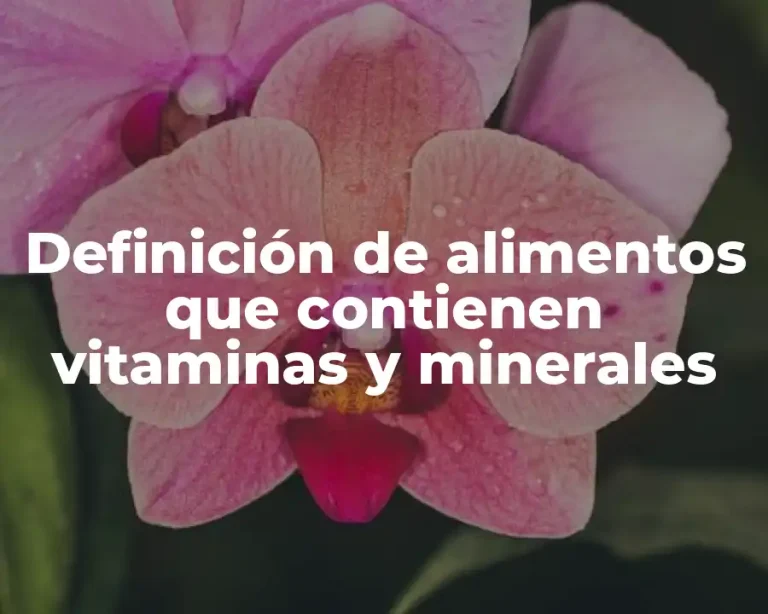 Definición de alimentos que contienen vitaminas y minerales