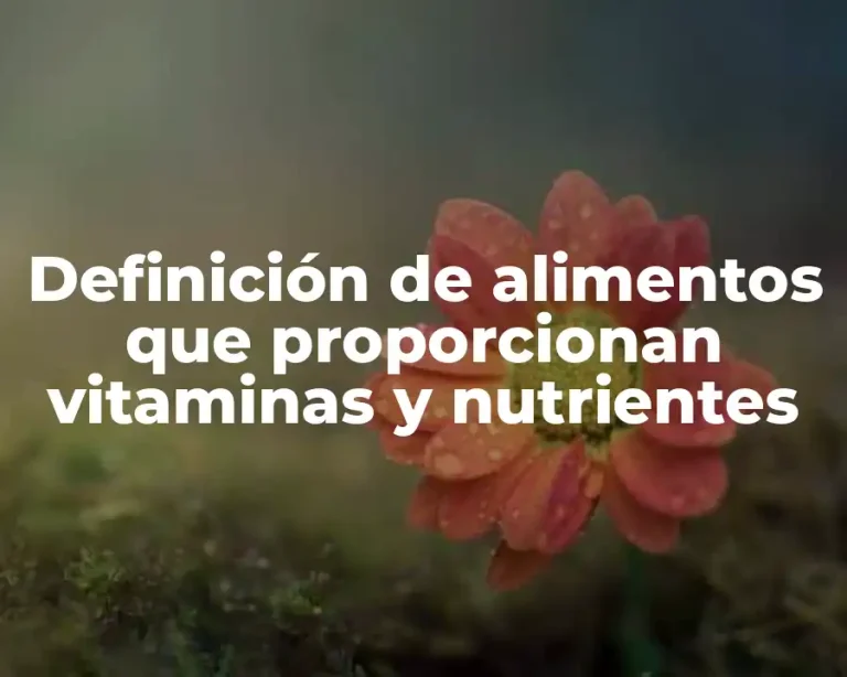 Definición de alimentos que proporcionan vitaminas y nutrientes