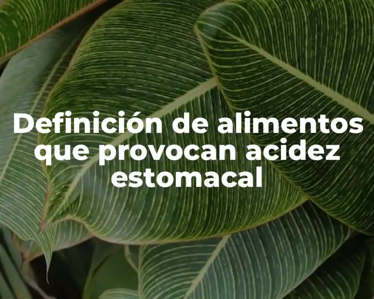 Definición de alimentos que provocan acidez estomacal