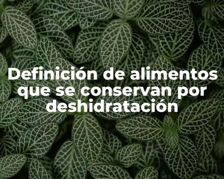 Definición de alimentos que se conservan por deshidratación
