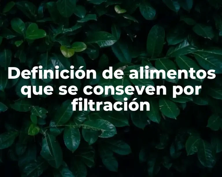 Definición de alimentos que se conseven por filtración