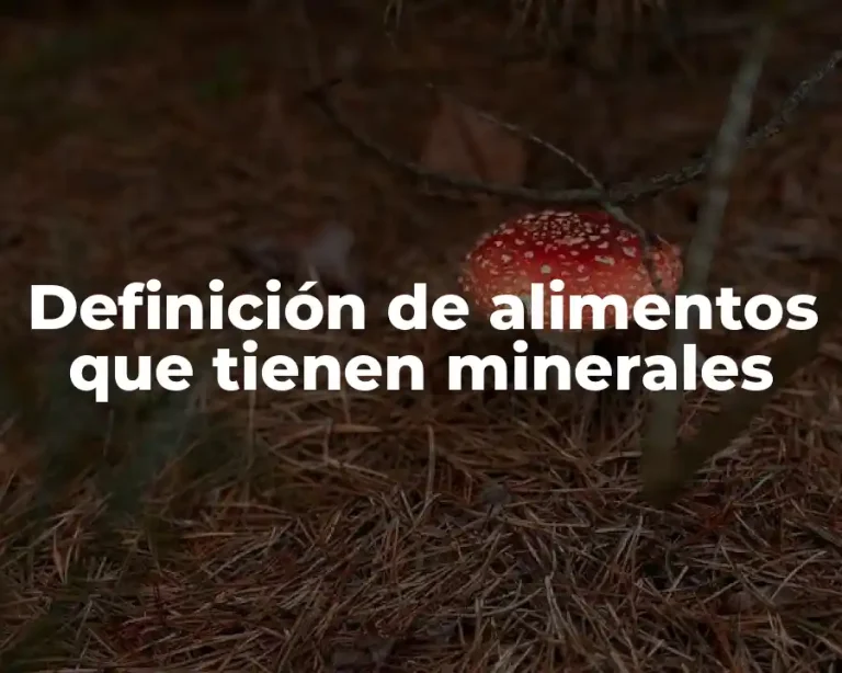 Definición de alimentos que tienen minerales