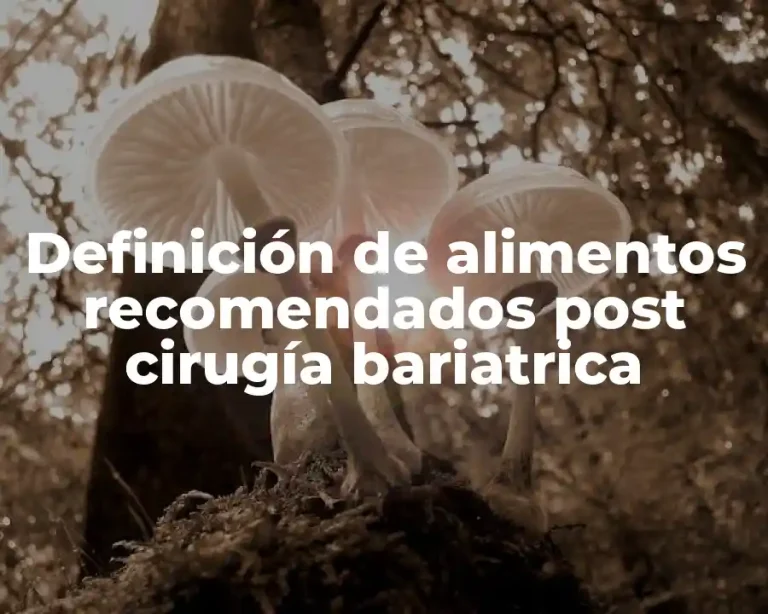 Definición de alimentos recomendados post cirugía bariatrica