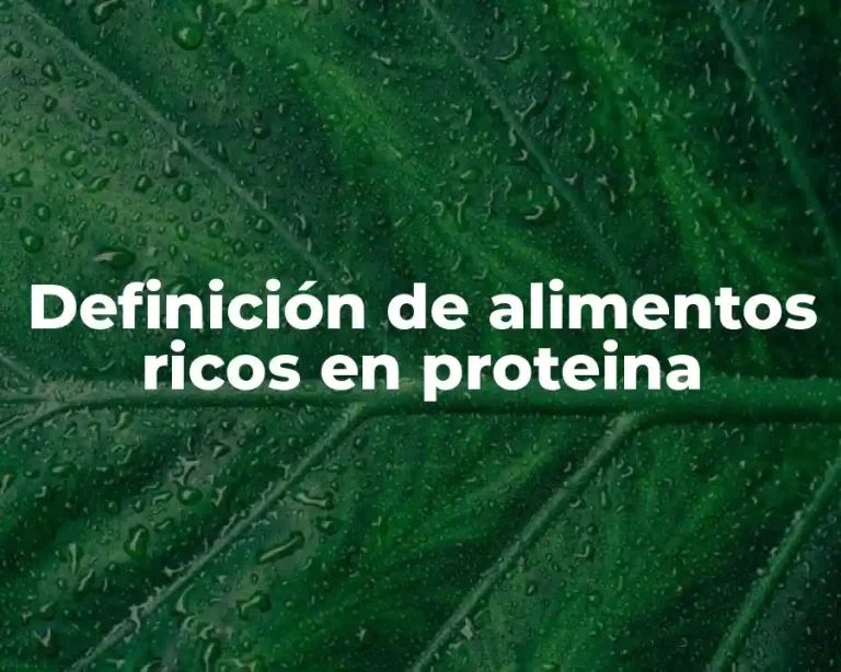 Definición de alimentos ricos en proteina