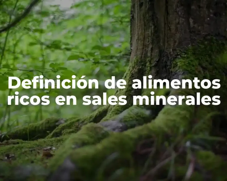 Definición de alimentos ricos en sales minerales