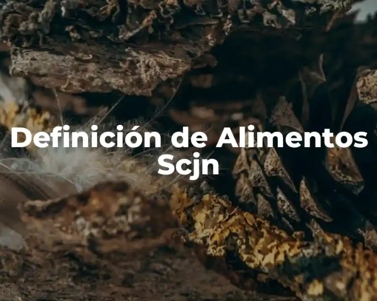 Definición de Alimentos Scjn