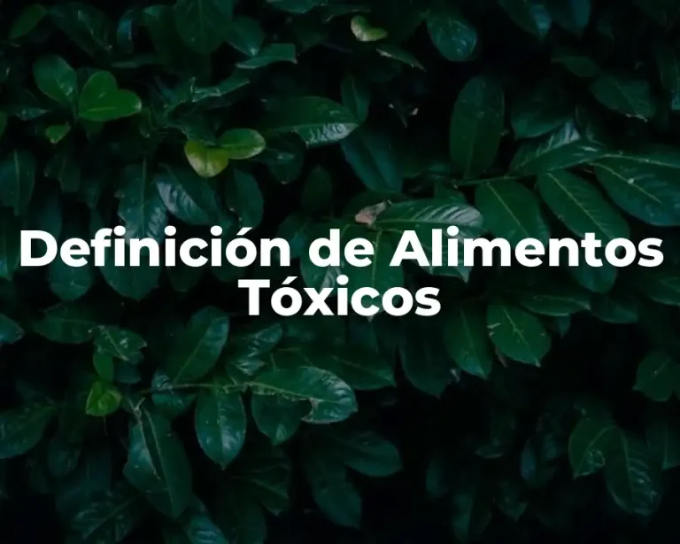 Definición de Alimentos Tóxicos