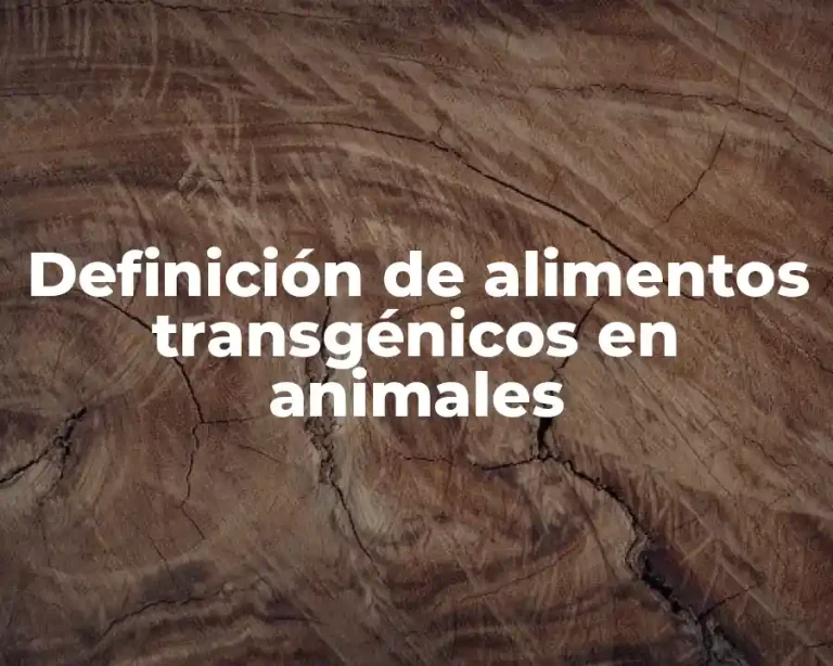Definición de alimentos transgénicos en animales