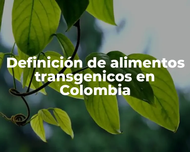 Definición de alimentos transgenicos en Colombia