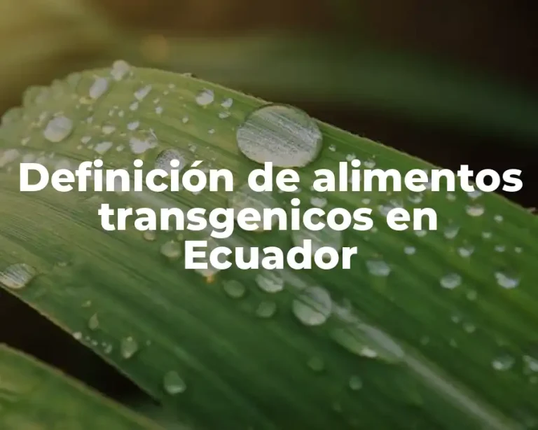 Definición de alimentos transgenicos en Ecuador