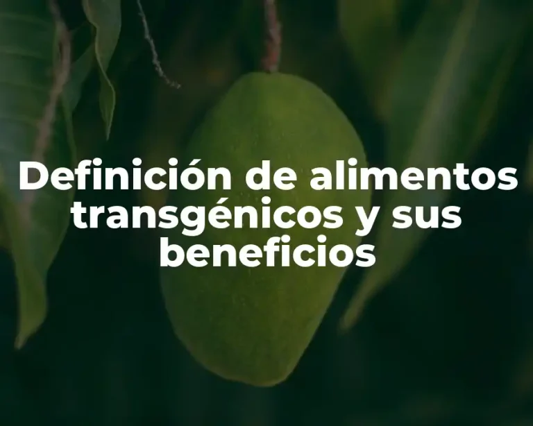 Definición de alimentos transgénicos y sus beneficios