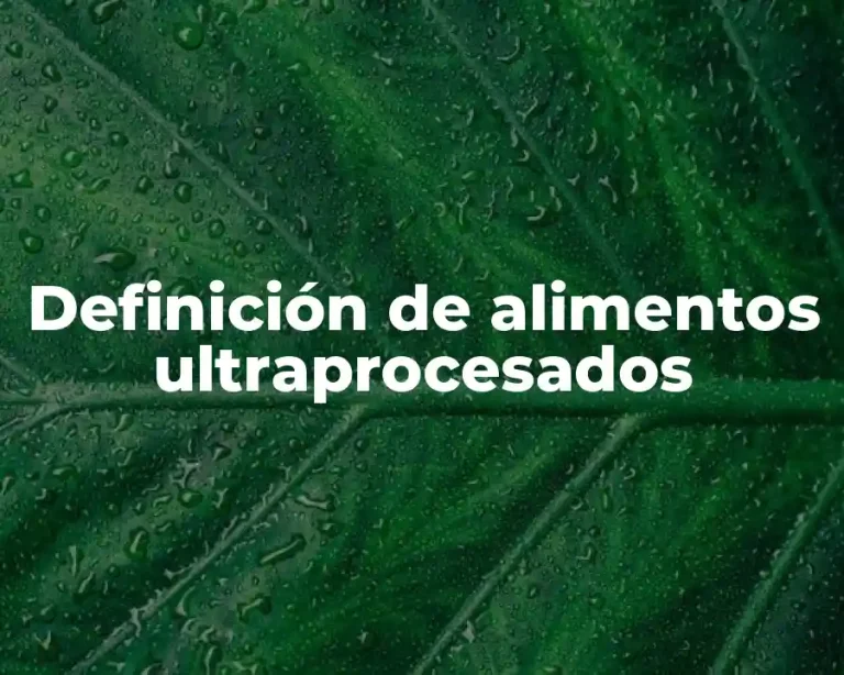 Definición de alimentos ultraprocesados