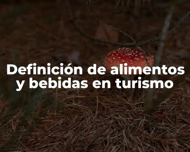 Definición de alimentos y bebidas en turismo
