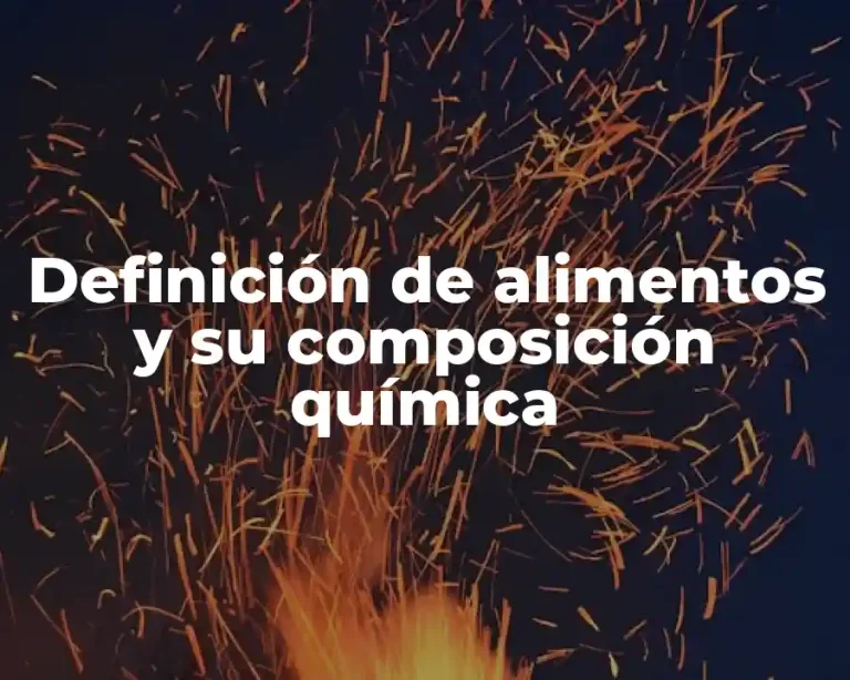 Definición de alimentos y su composición química
