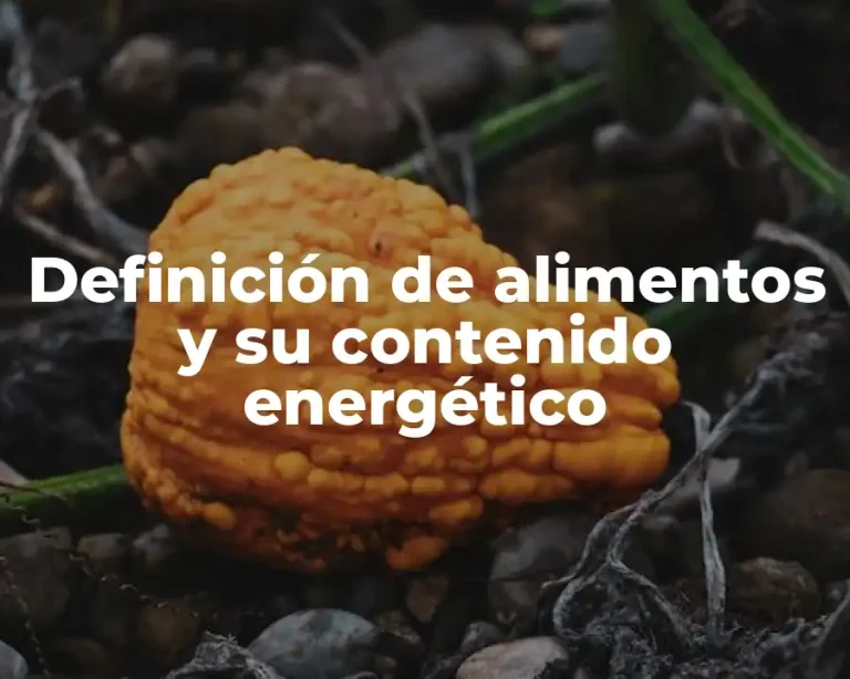 Definición de alimentos y su contenido energético