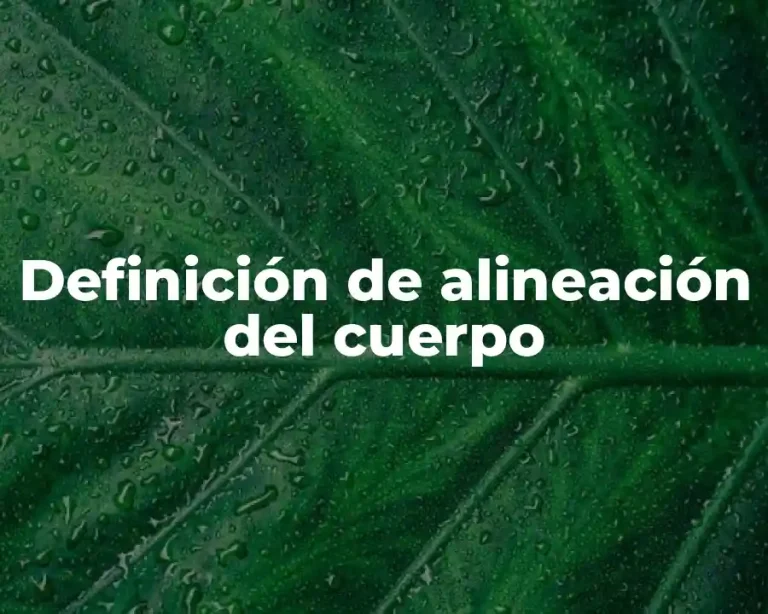 Definición de alineación del cuerpo