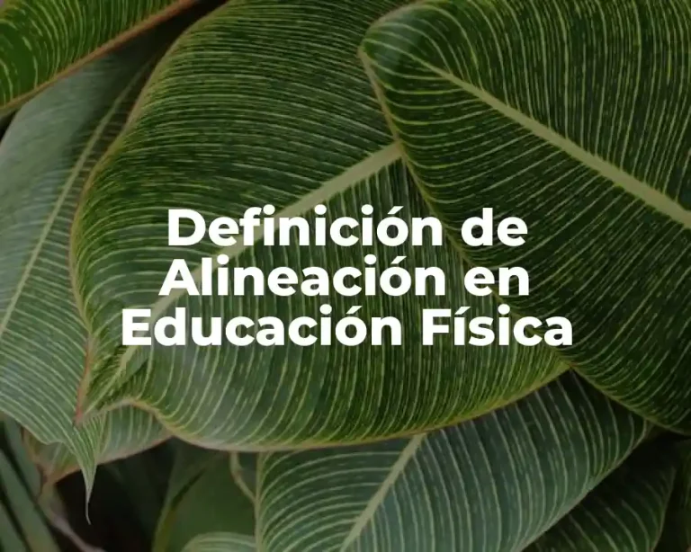 Definición de Alineación en Educación Física