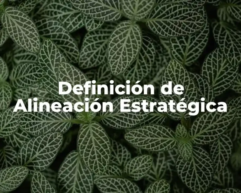 Definición de Alineación Estratégica