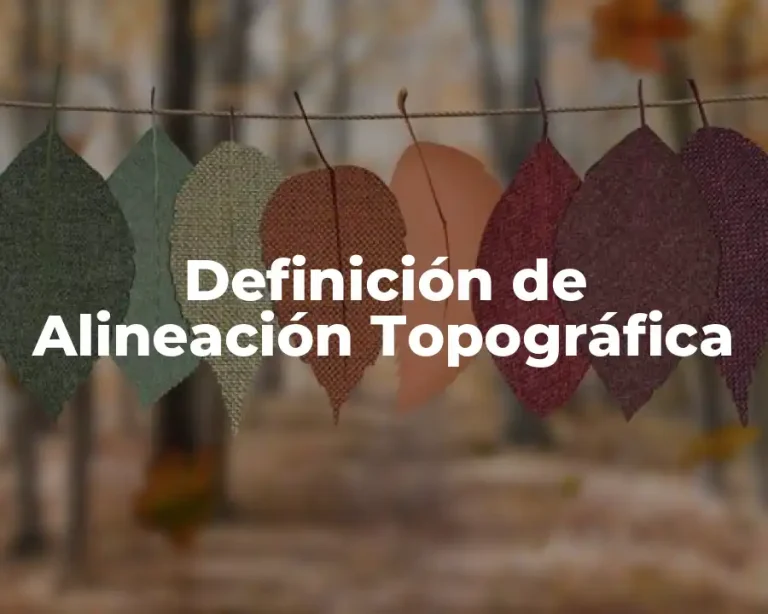 Definición de Alineación Topográfica