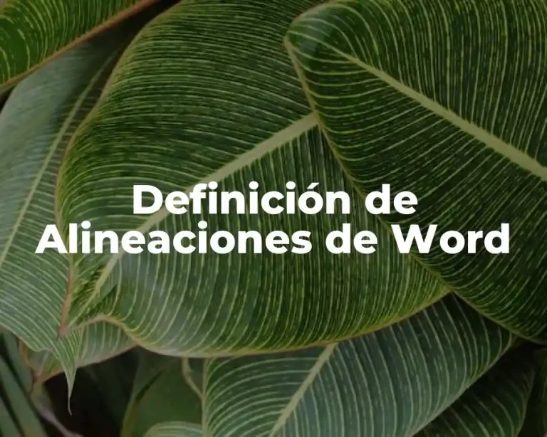 Definición de Alineaciones de Word