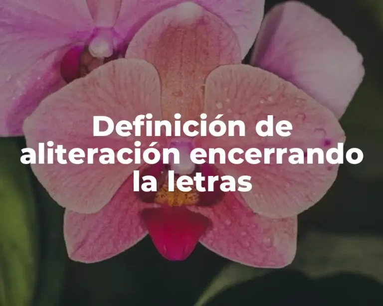 Definición de aliteración encerrando la letras