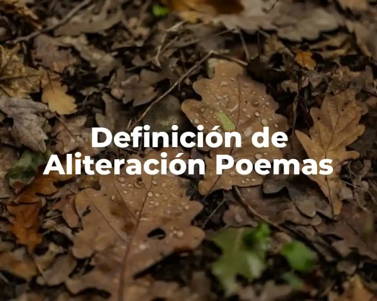 Definición de Aliteración Poemas