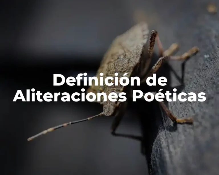 Definición de Aliteraciones Poéticas
