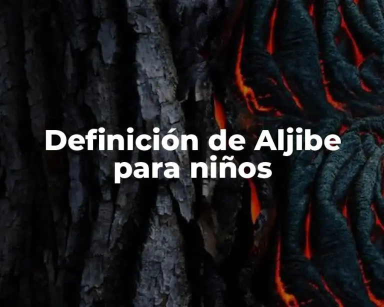 Definición de Aljibe para niños
