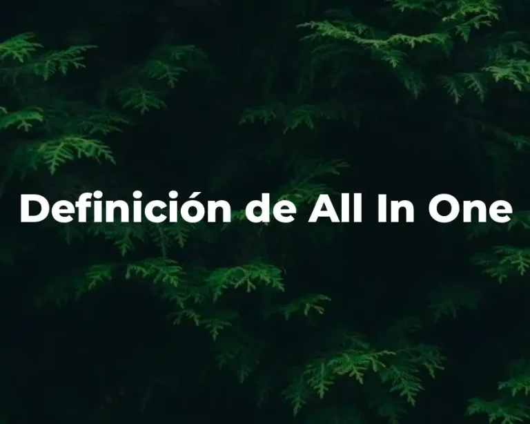 Definición de All In One