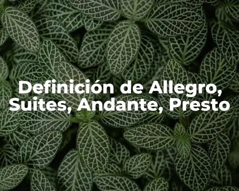 Definición de Allegro, Suites, Andante, Presto