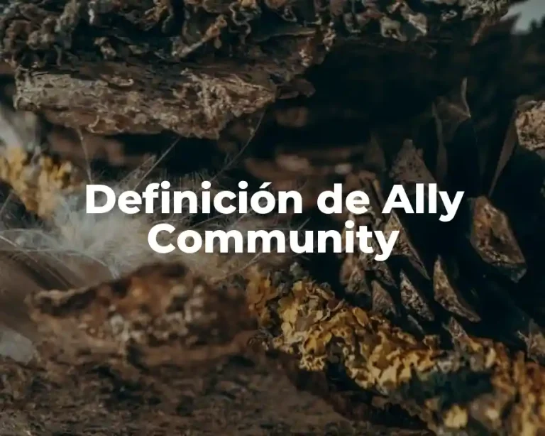 Definición de Ally Community
