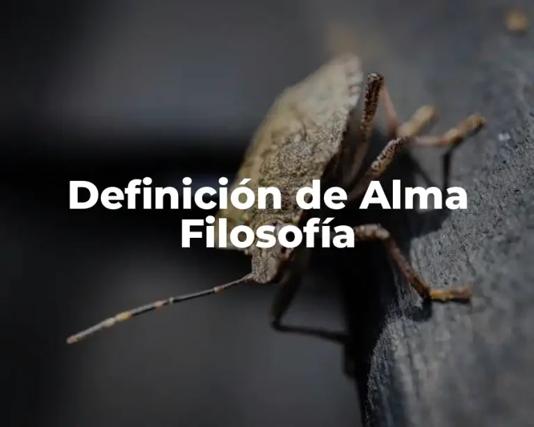 Definición de Alma Filosofía