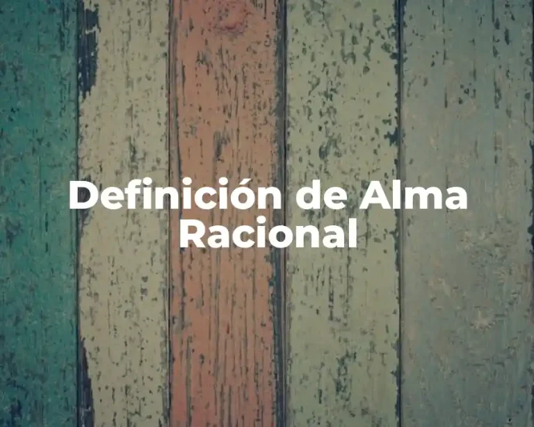 Definición de Alma Racional