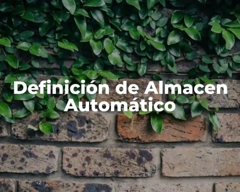 Definición de Almacen Automático