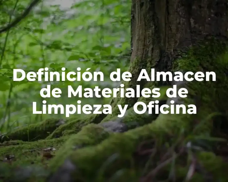Definición de Almacen de Materiales de Limpieza y Oficina
