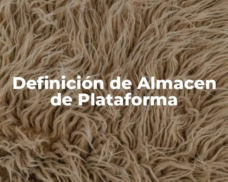 Definición de Almacen de Plataforma