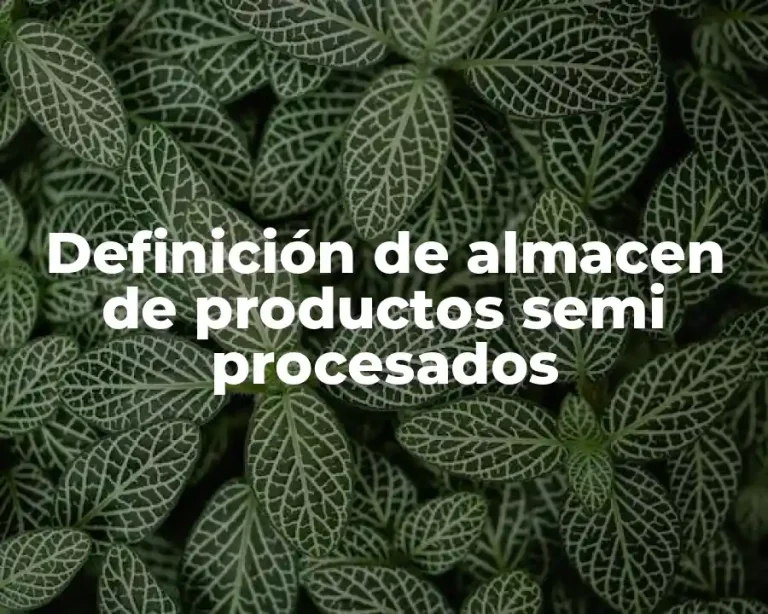 Definición de almacen de productos semi procesados